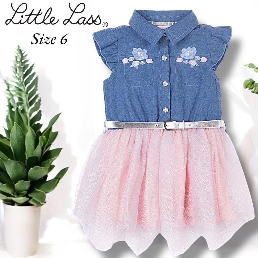 Little Lass Denim and Pink Dress